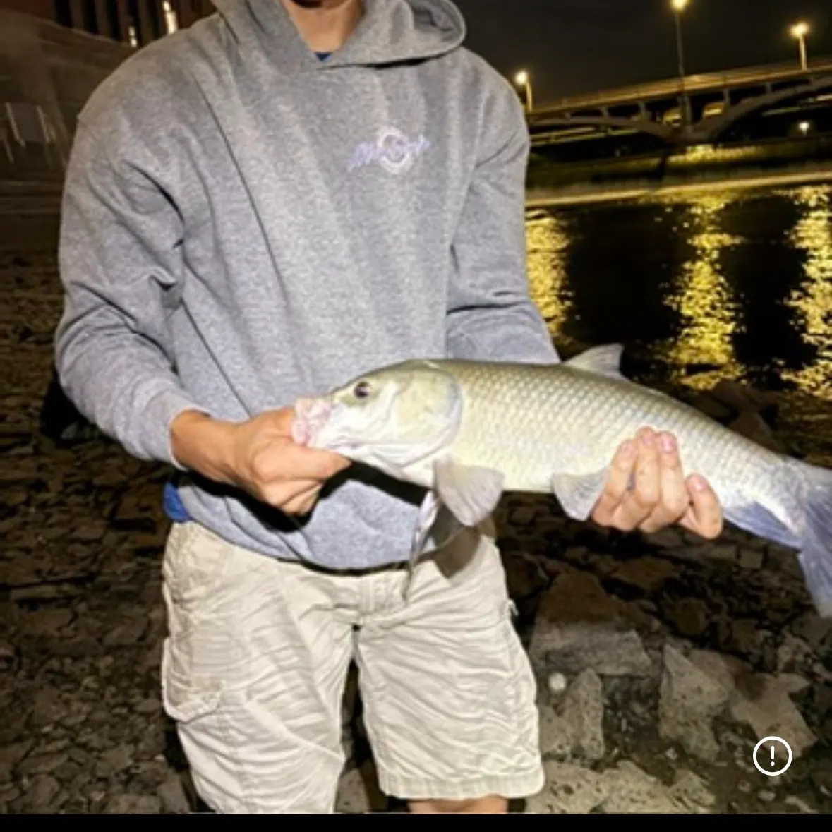 Bigmouth buffalo caught on Fishbrain