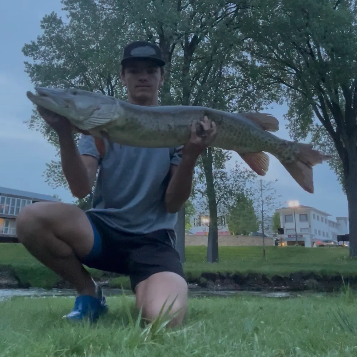 The most recent Muskellunge catches on Fishbrain