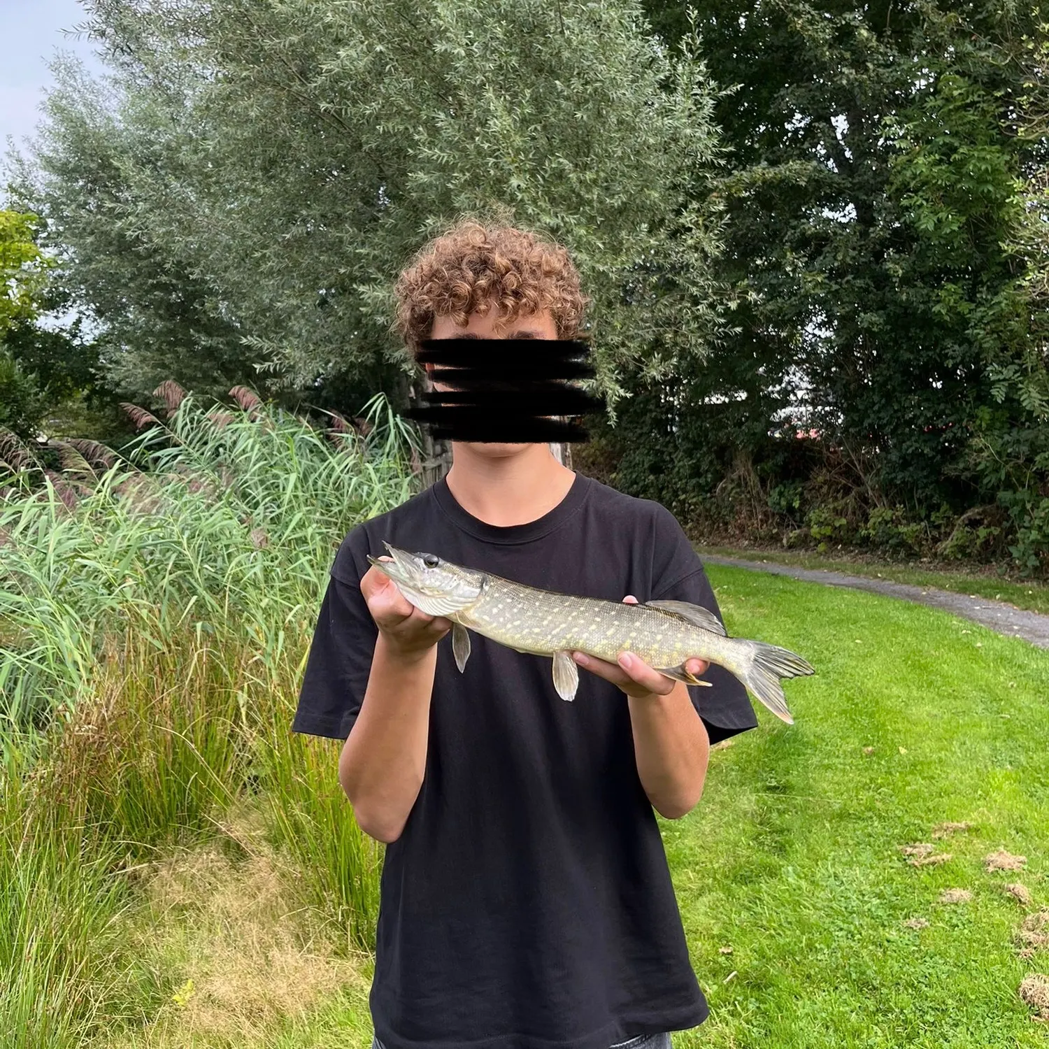 Northern pike caught on Fishbrain