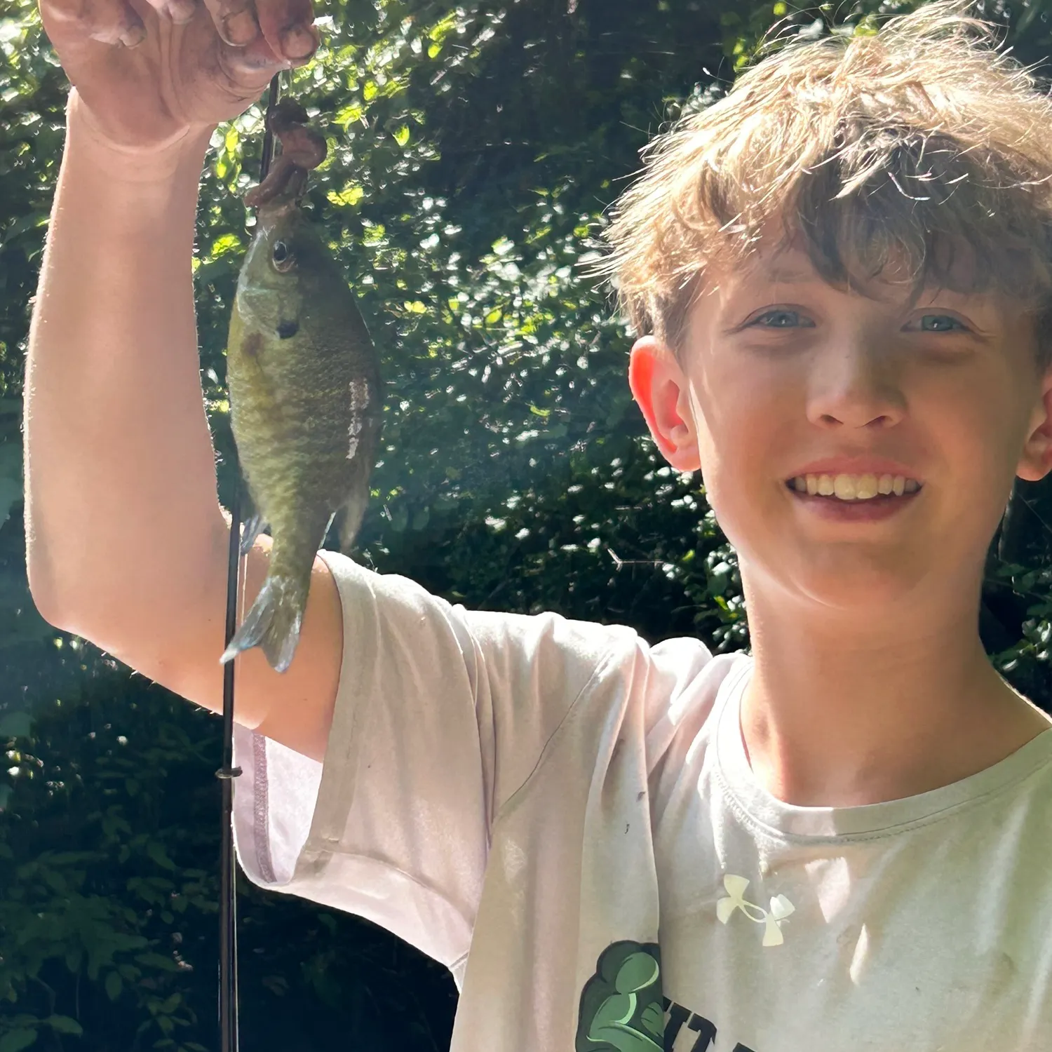 Bluegill caught on Fishbrain