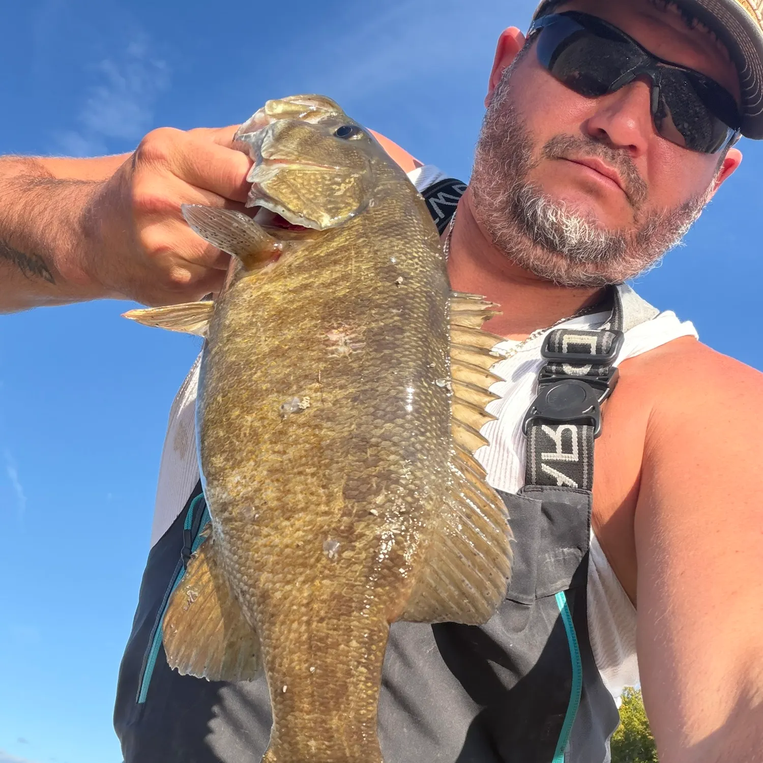 Smallmouth bass caught on Fishbrain