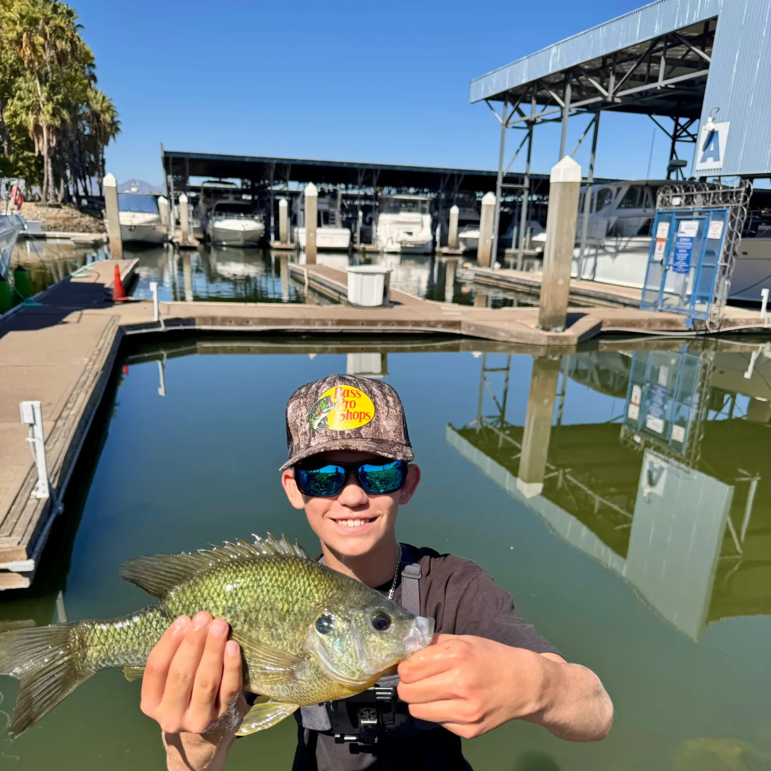 Redear sunfish caught on Fishbrain