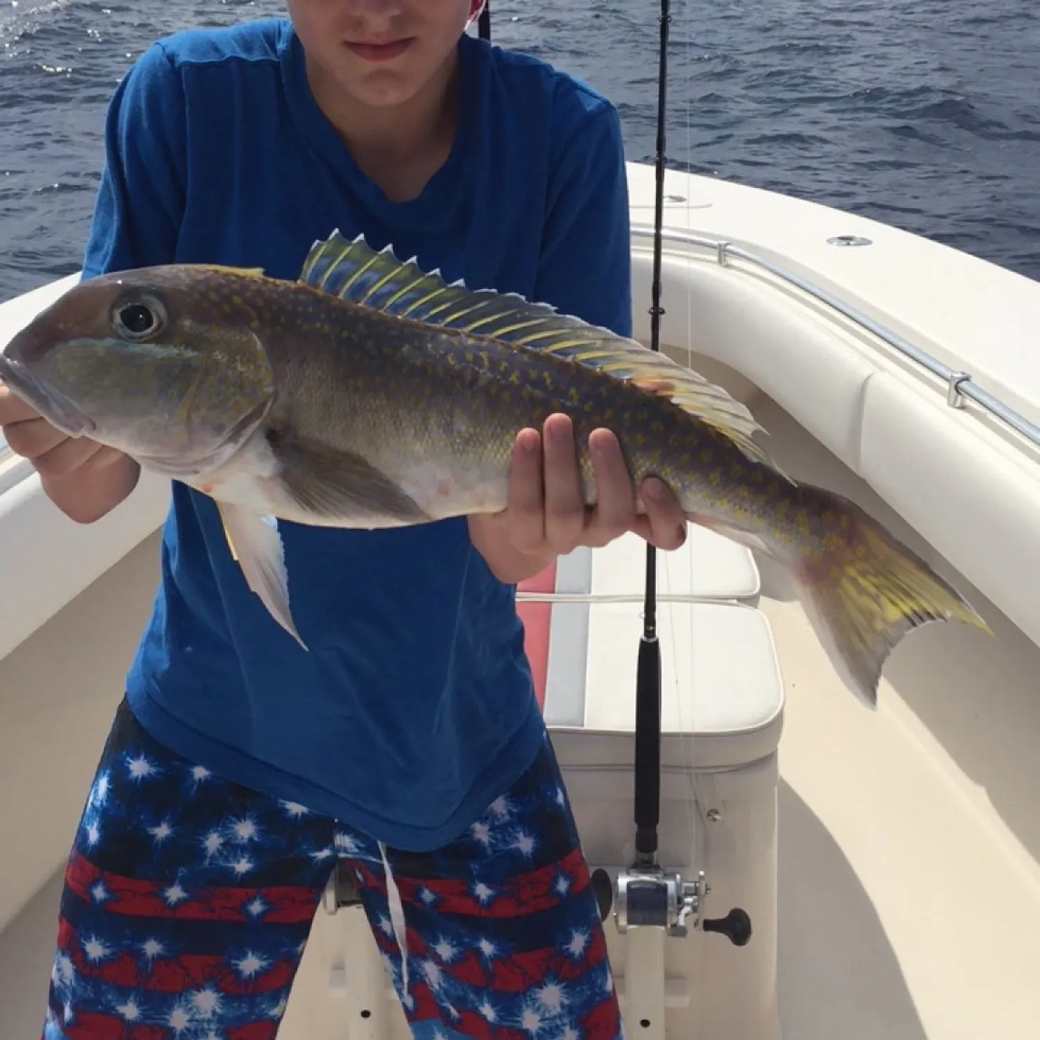 The most recent Great northern tilefish catches on Fishbrain