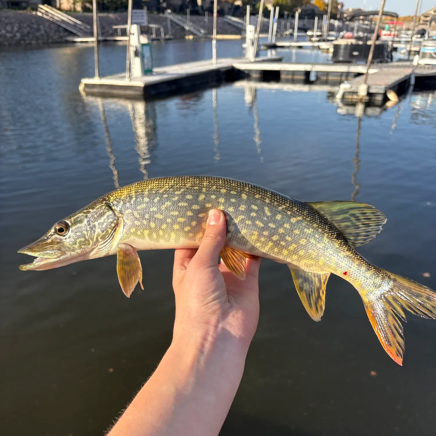 catch