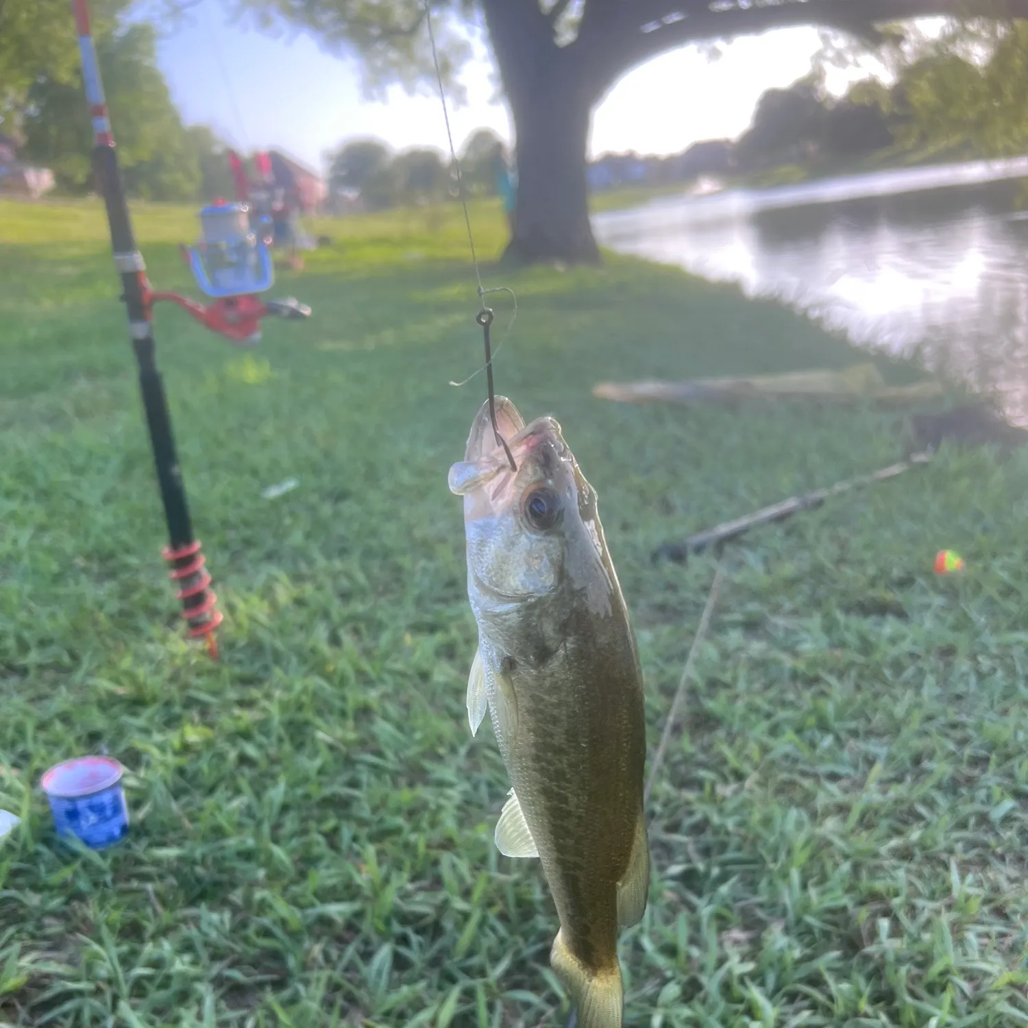 Fishing in Grand Prairie, TX (United States)  Find Spots, Species &  Tips