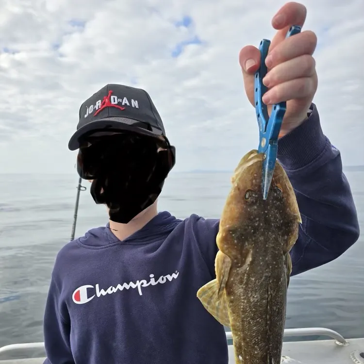 The most recent Sand flathead catches on Fishbrain