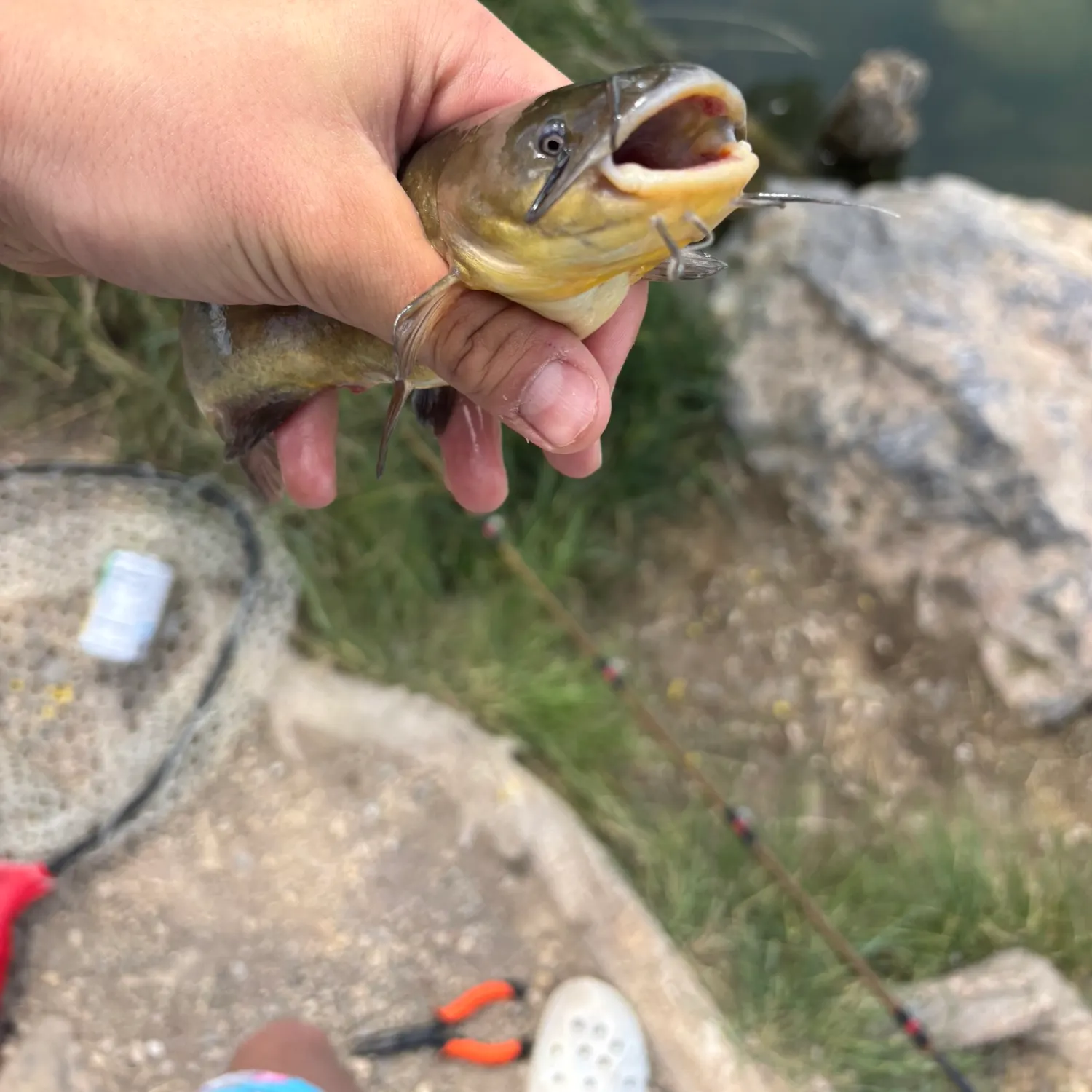 catch
