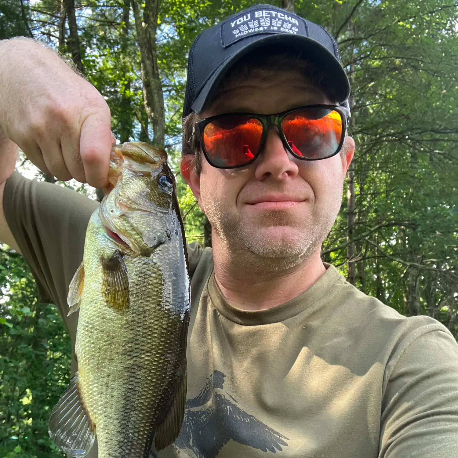 Largemouth bass caught on Fishbrain