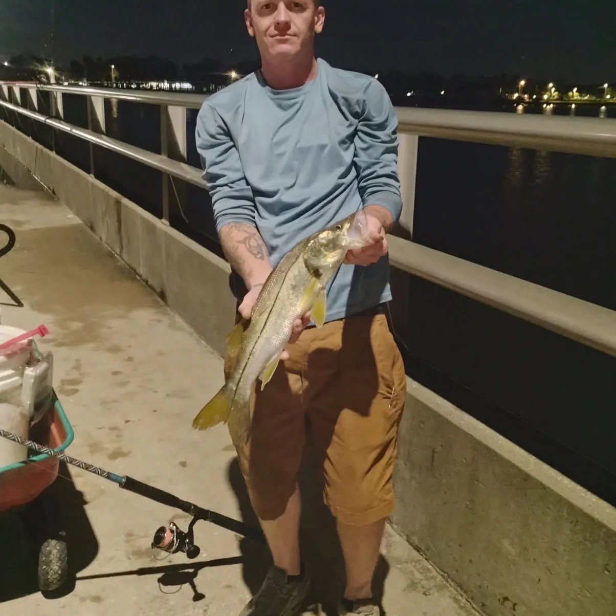 Common snook caught on Fishbrain