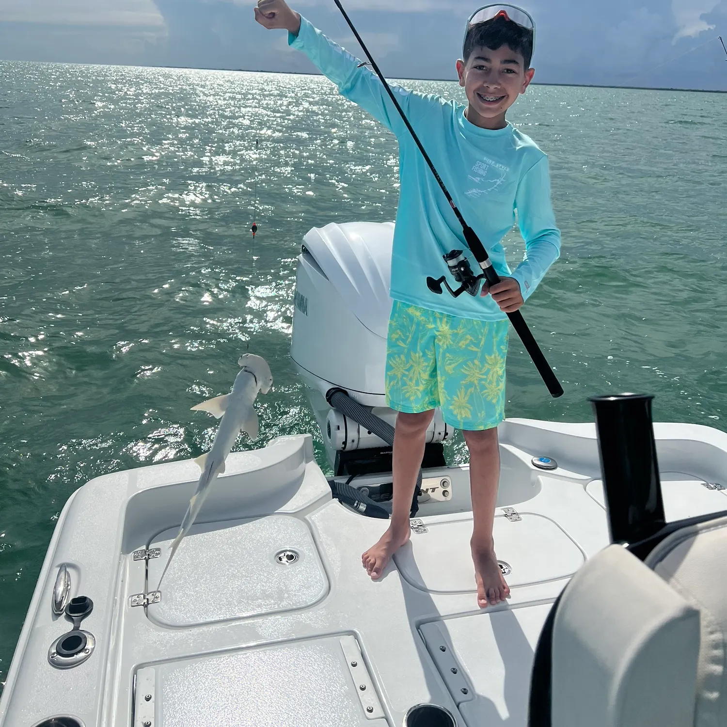 The most recent Bonnethead shark catches on Fishbrain
