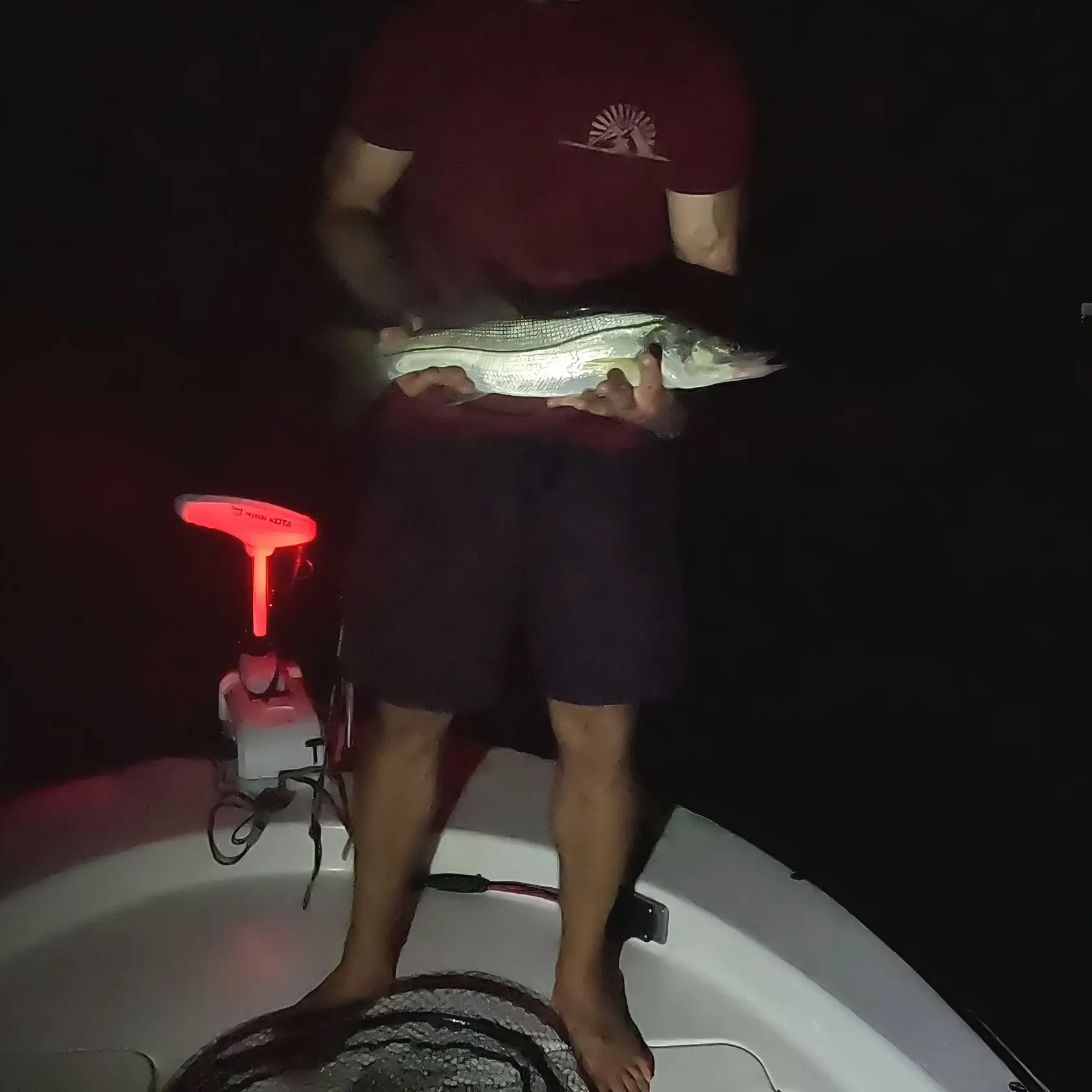 Common snook caught on Fishbrain