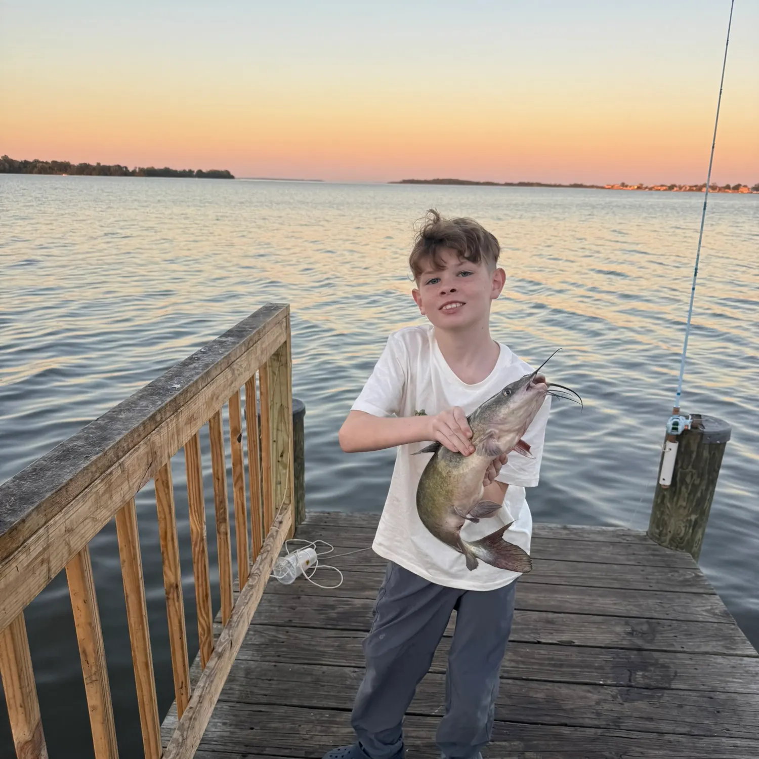 Channel catfish caught on Fishbrain
