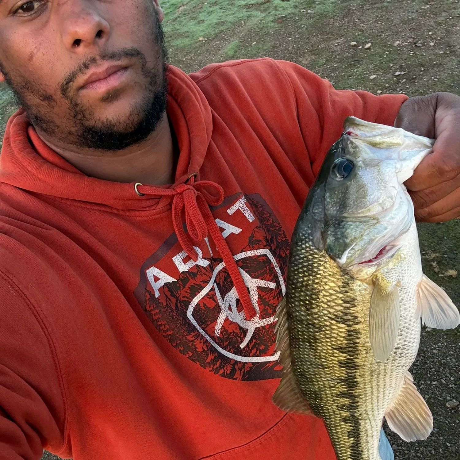 Spotted bass caught on Fishbrain