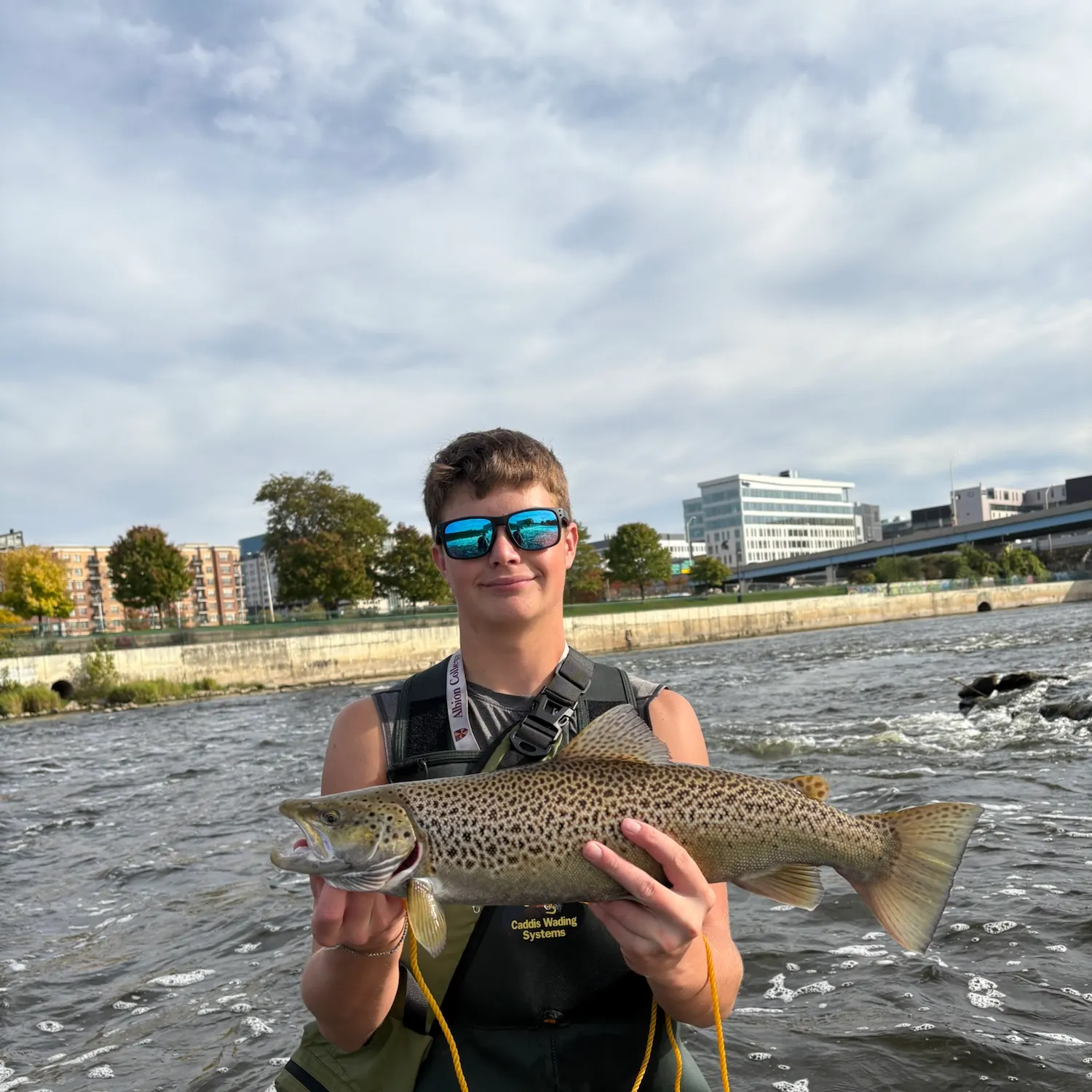 The most recent Sea trout catches on Fishbrain
