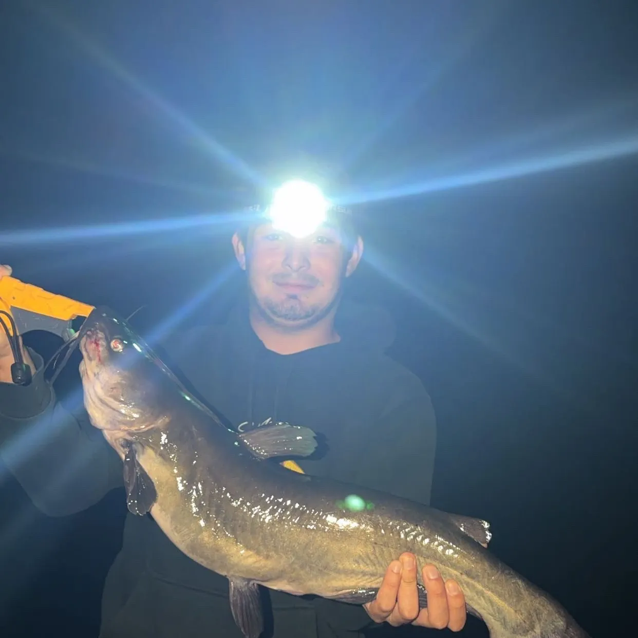 Channel catfish caught on Fishbrain