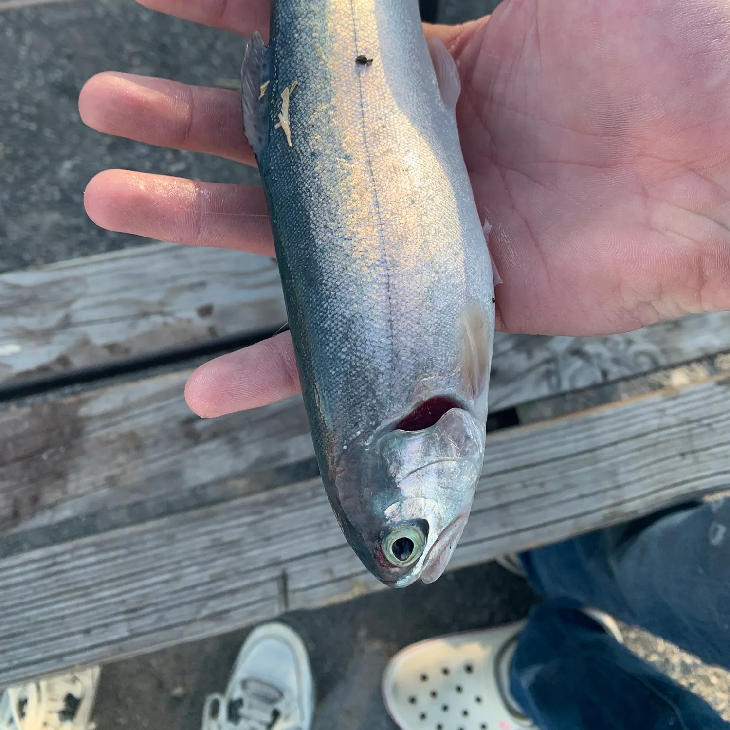 catch