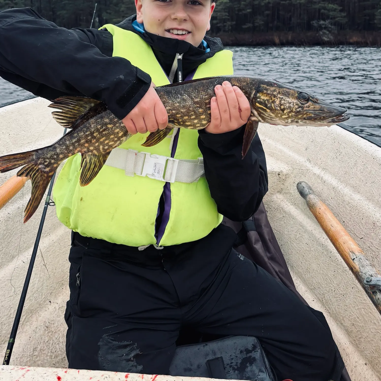 Northern pike caught on Fishbrain