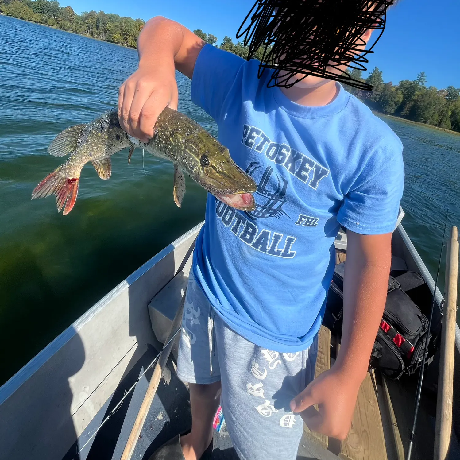 Northern pike caught on Fishbrain