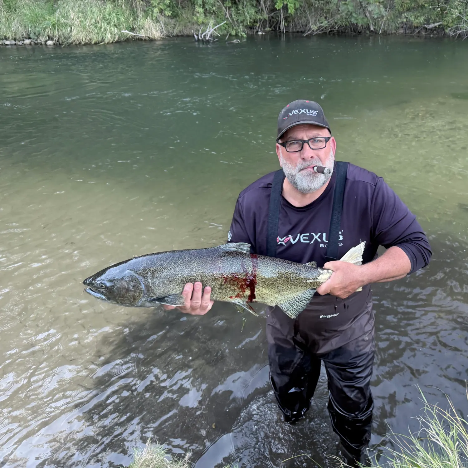 Chinook salmon caught on Fishbrain
