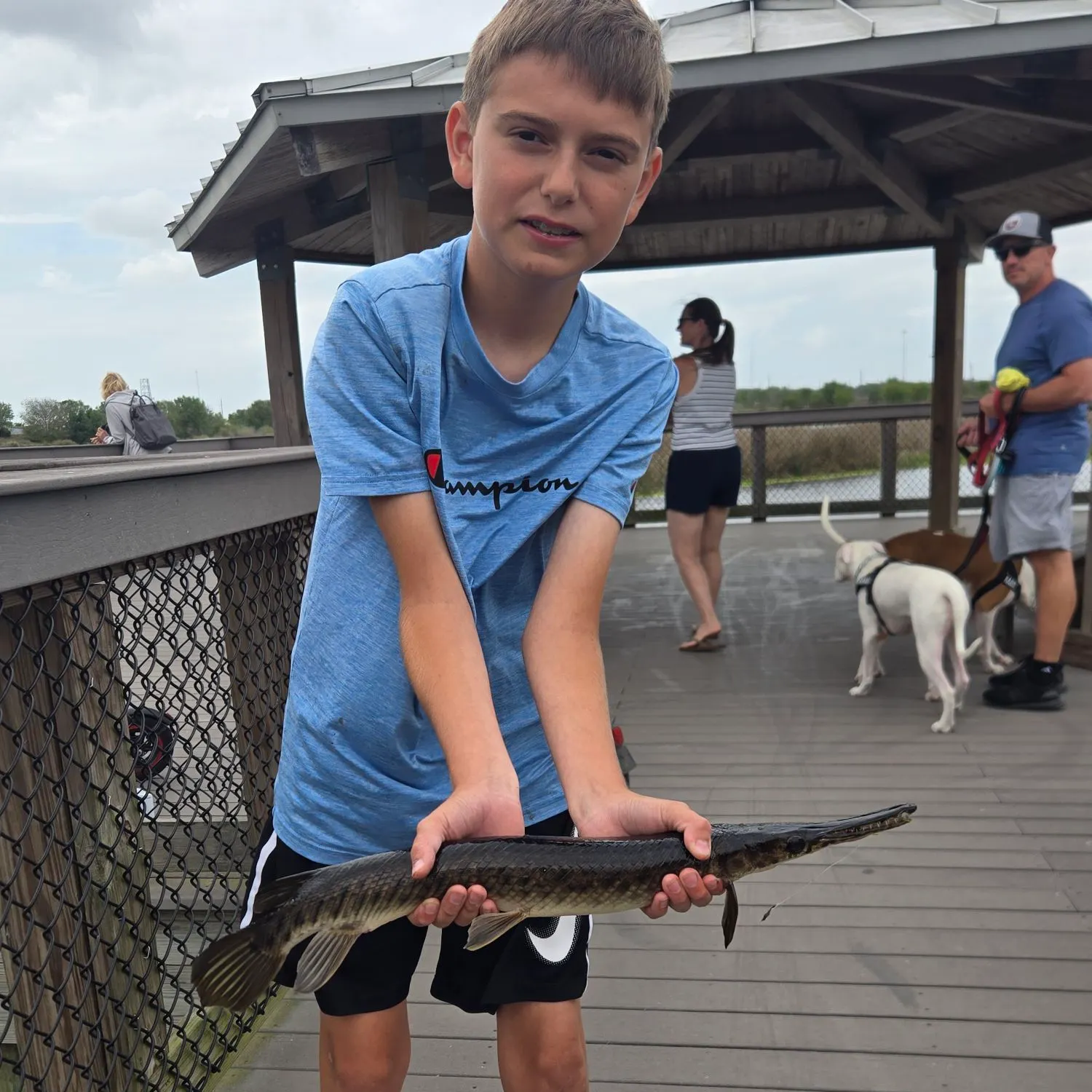 The most recent Florida gar catches on Fishbrain