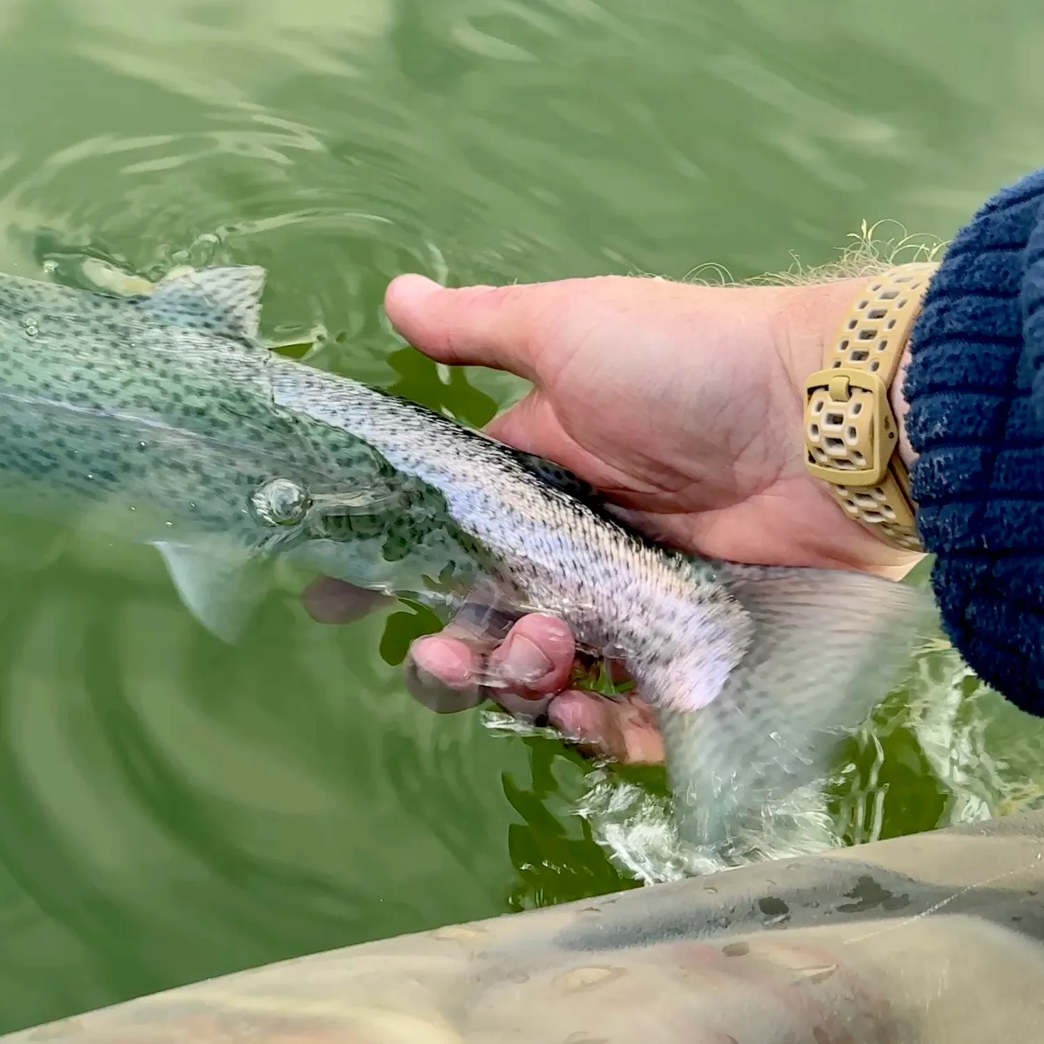 recently logged catches