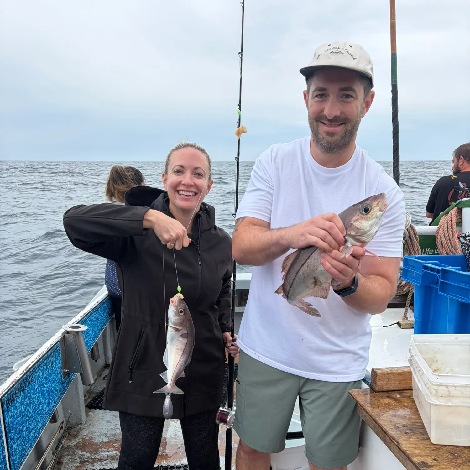 The most recent Haddock catches on Fishbrain