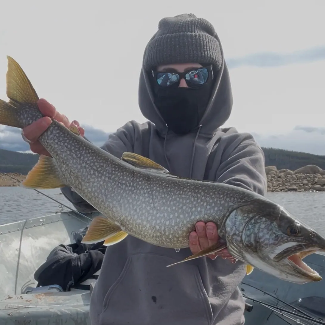 Lake char caught on Fishbrain
