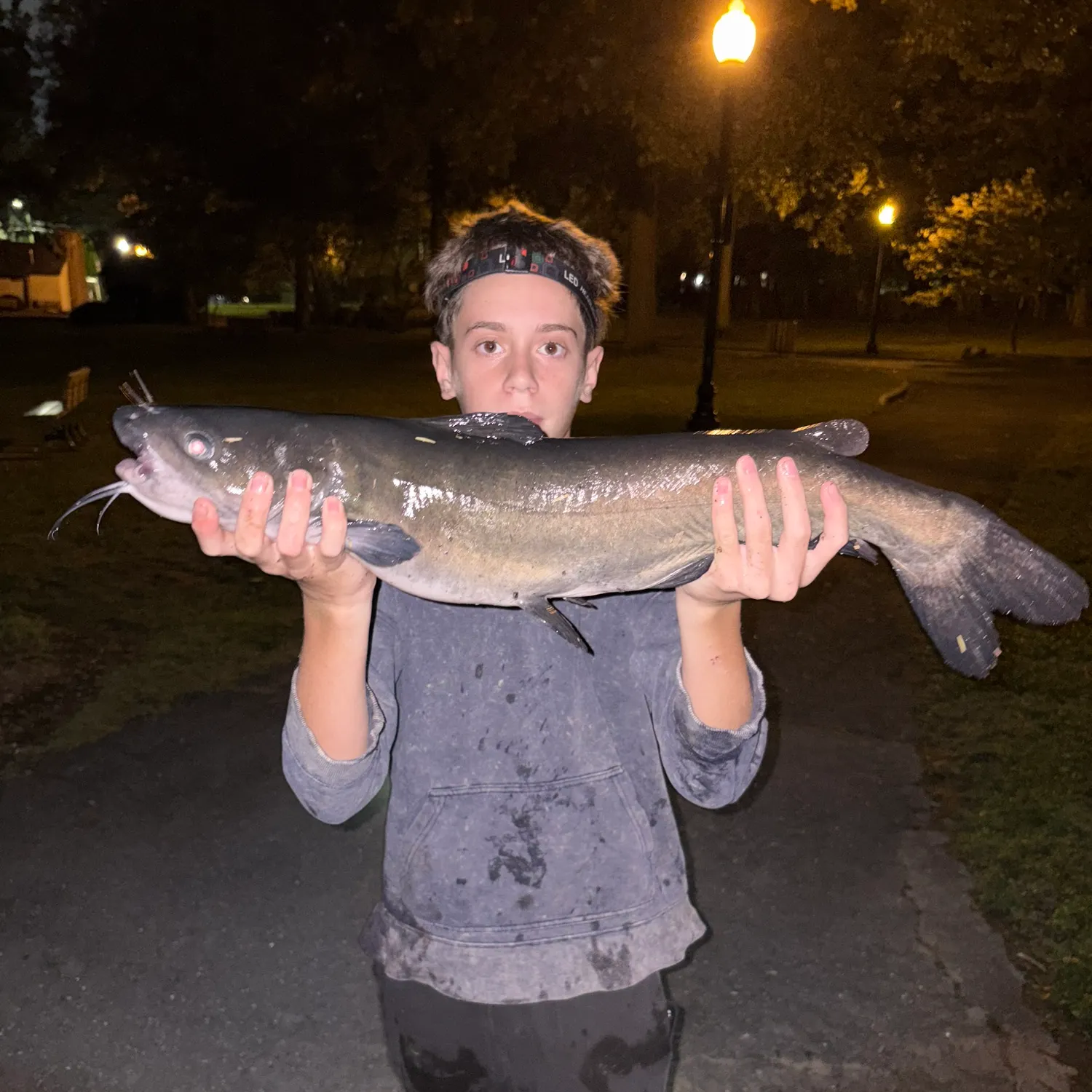 Channel catfish caught on Fishbrain