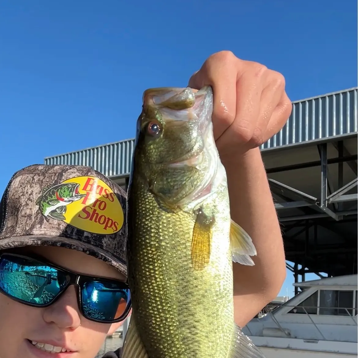 Largemouth bass caught on Fishbrain