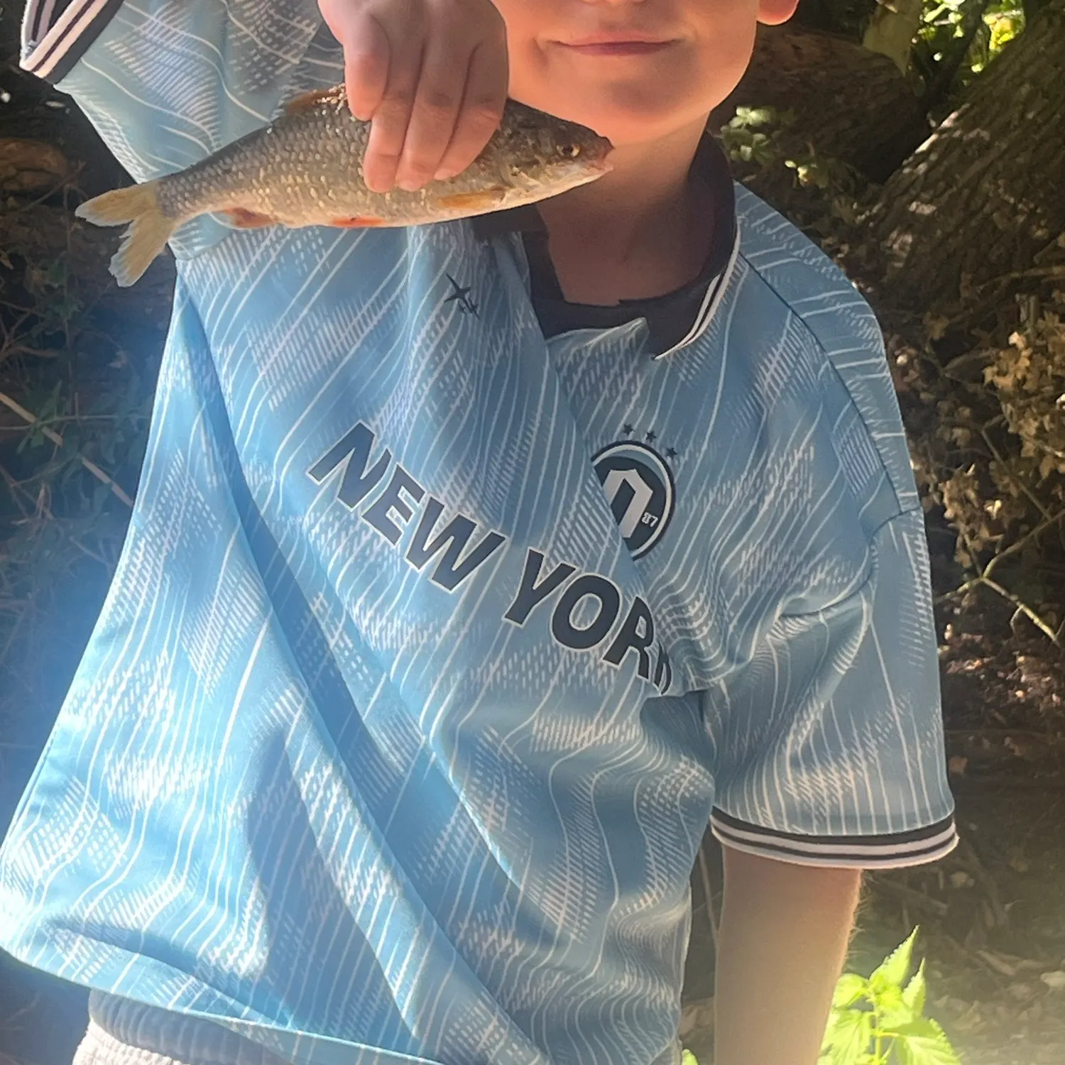 Common roach caught on Fishbrain
