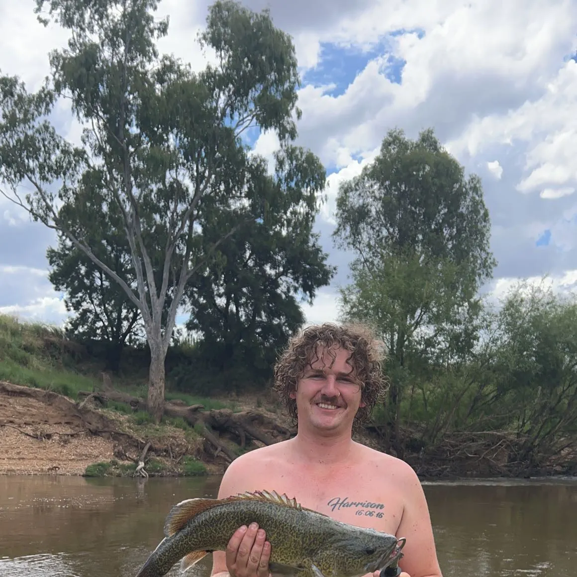 The most recent Trout cod catches on Fishbrain