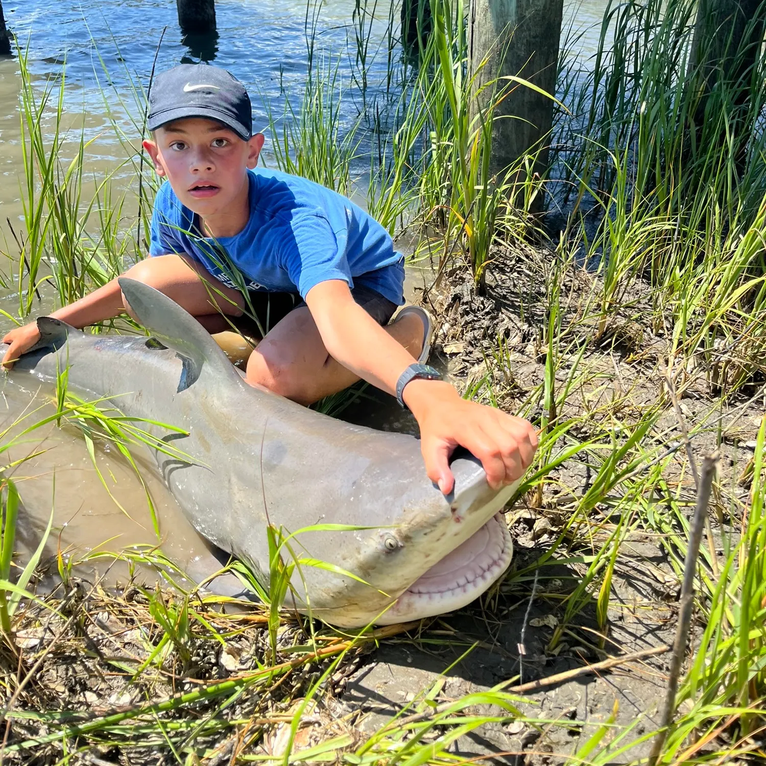 The most recent Bull shark catches on Fishbrain