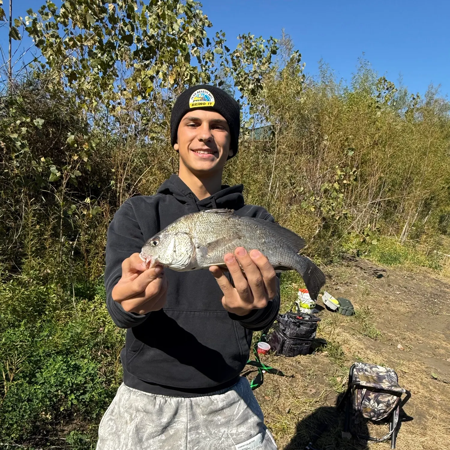 Freshwater drum caught on Fishbrain