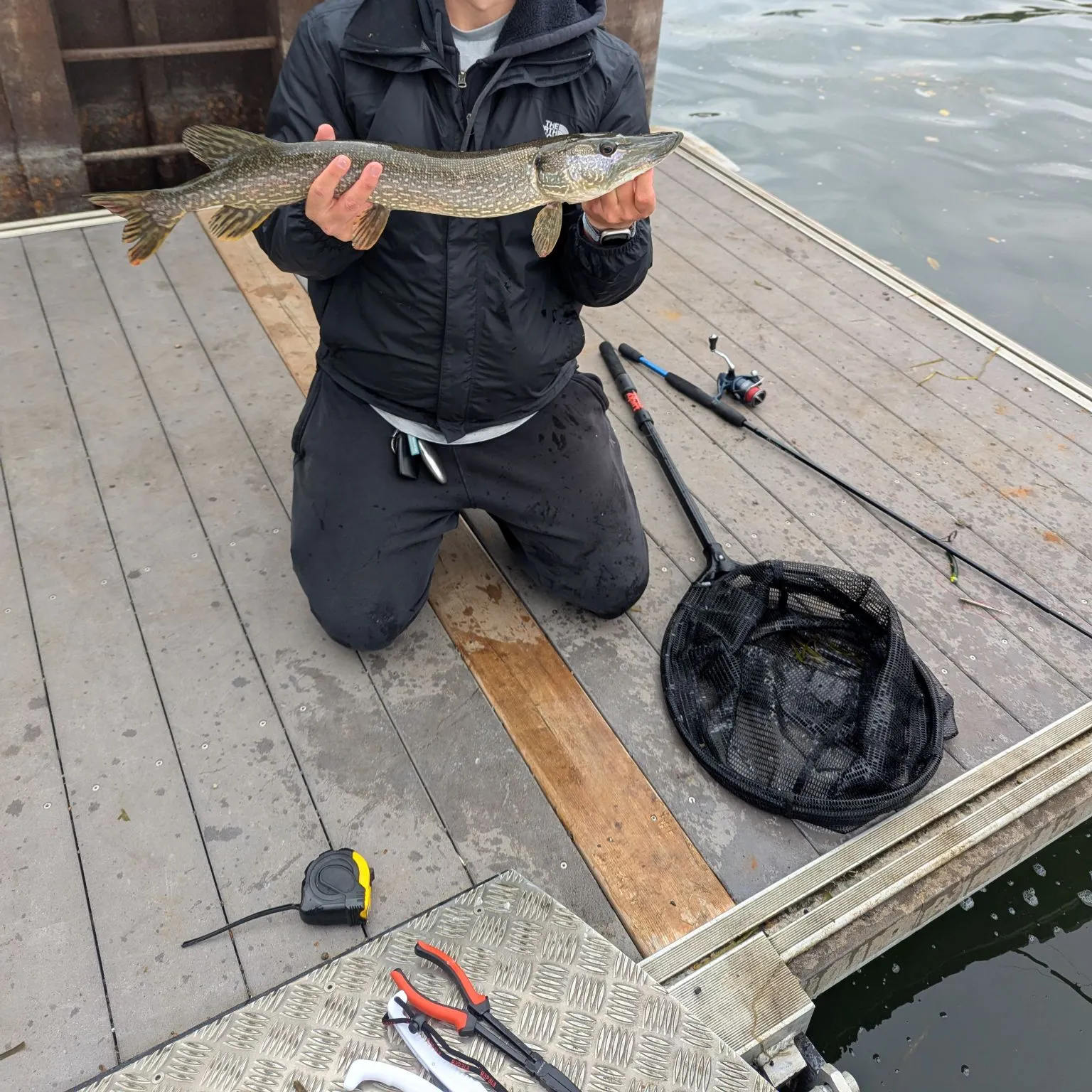 Northern pike caught on Fishbrain
