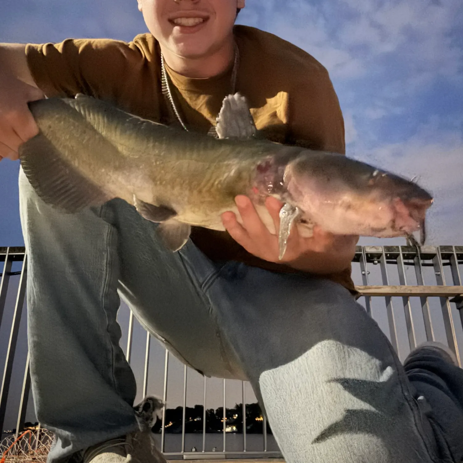 Channel catfish caught on Fishbrain