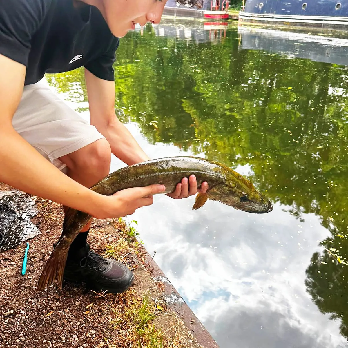 Northern pike caught on Fishbrain