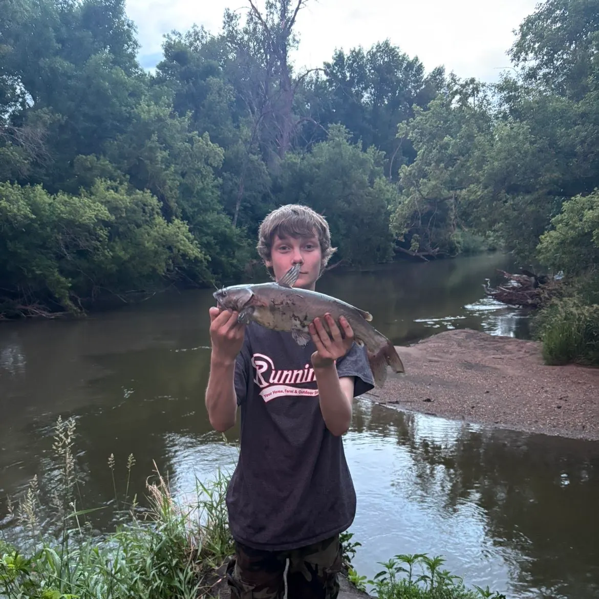 Channel catfish caught on Fishbrain