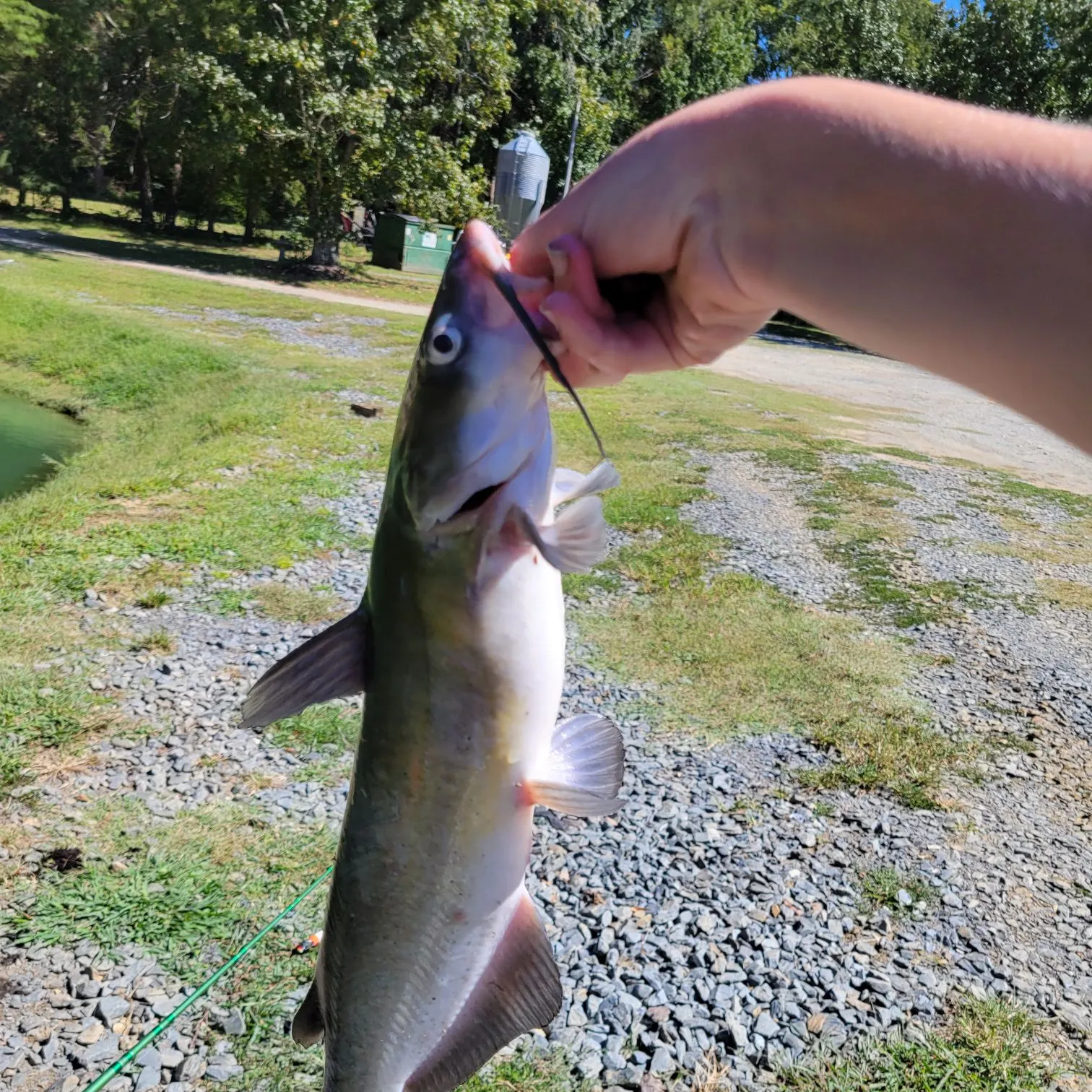 catch
