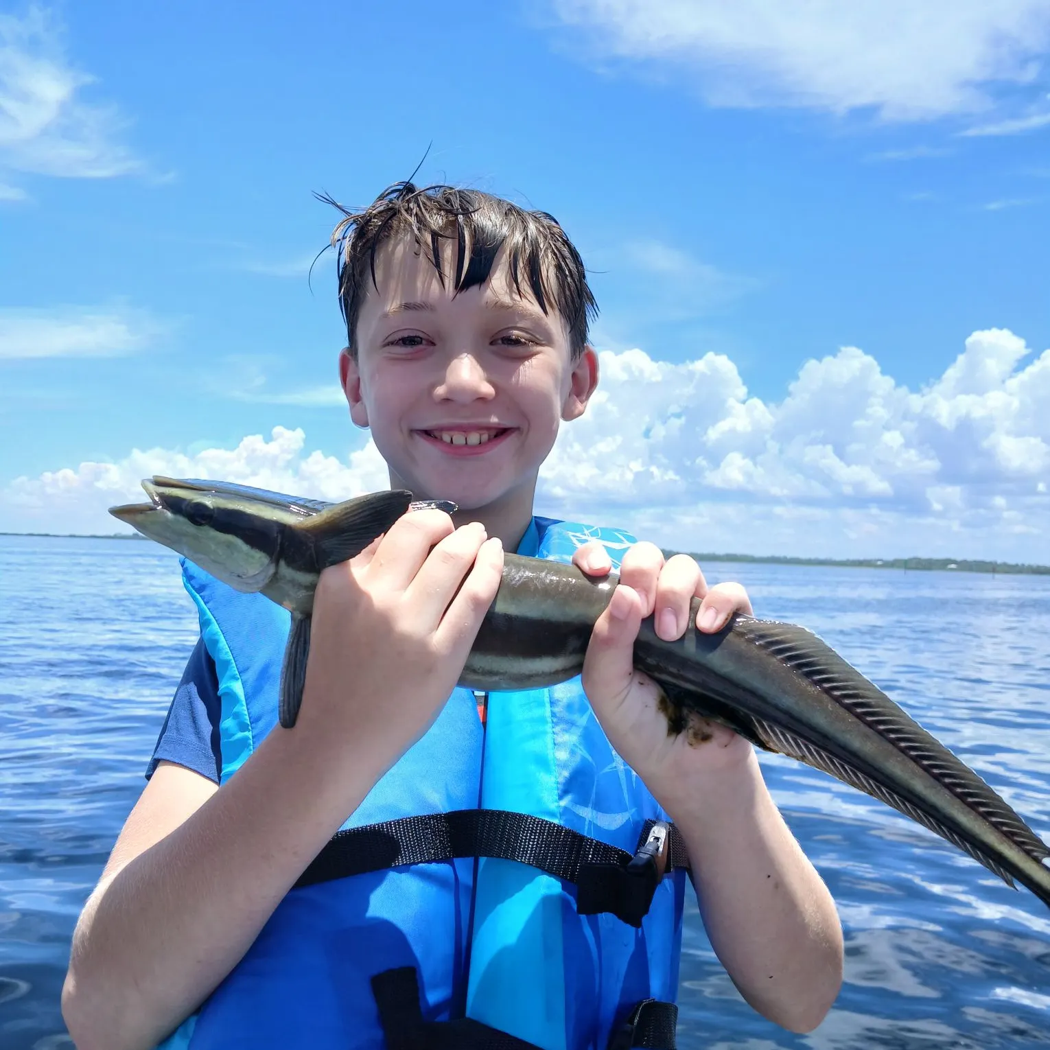 The most recent Live sharksucker catches on Fishbrain