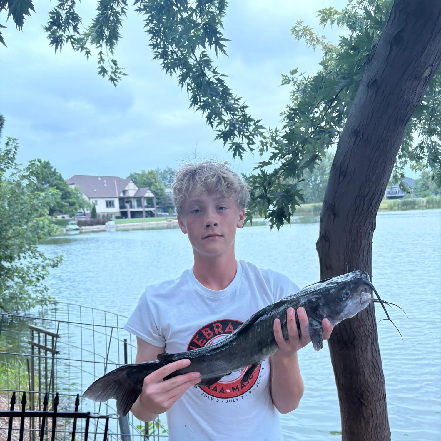 Channel catfish caught on Fishbrain
