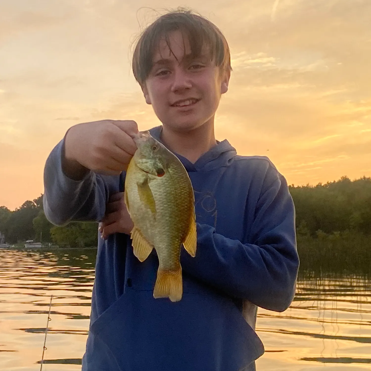 Redear sunfish caught on Fishbrain