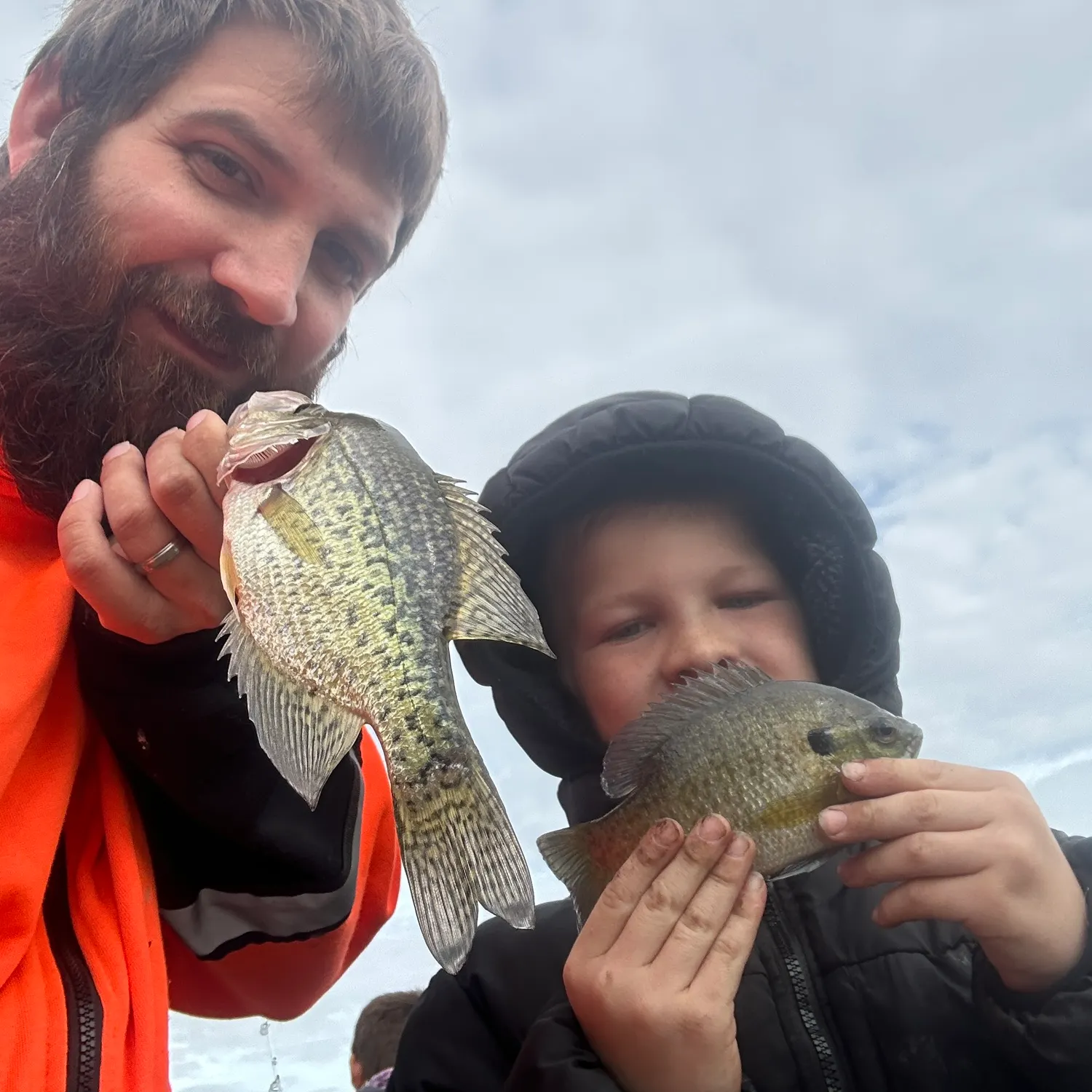 White crappie caught on Fishbrain