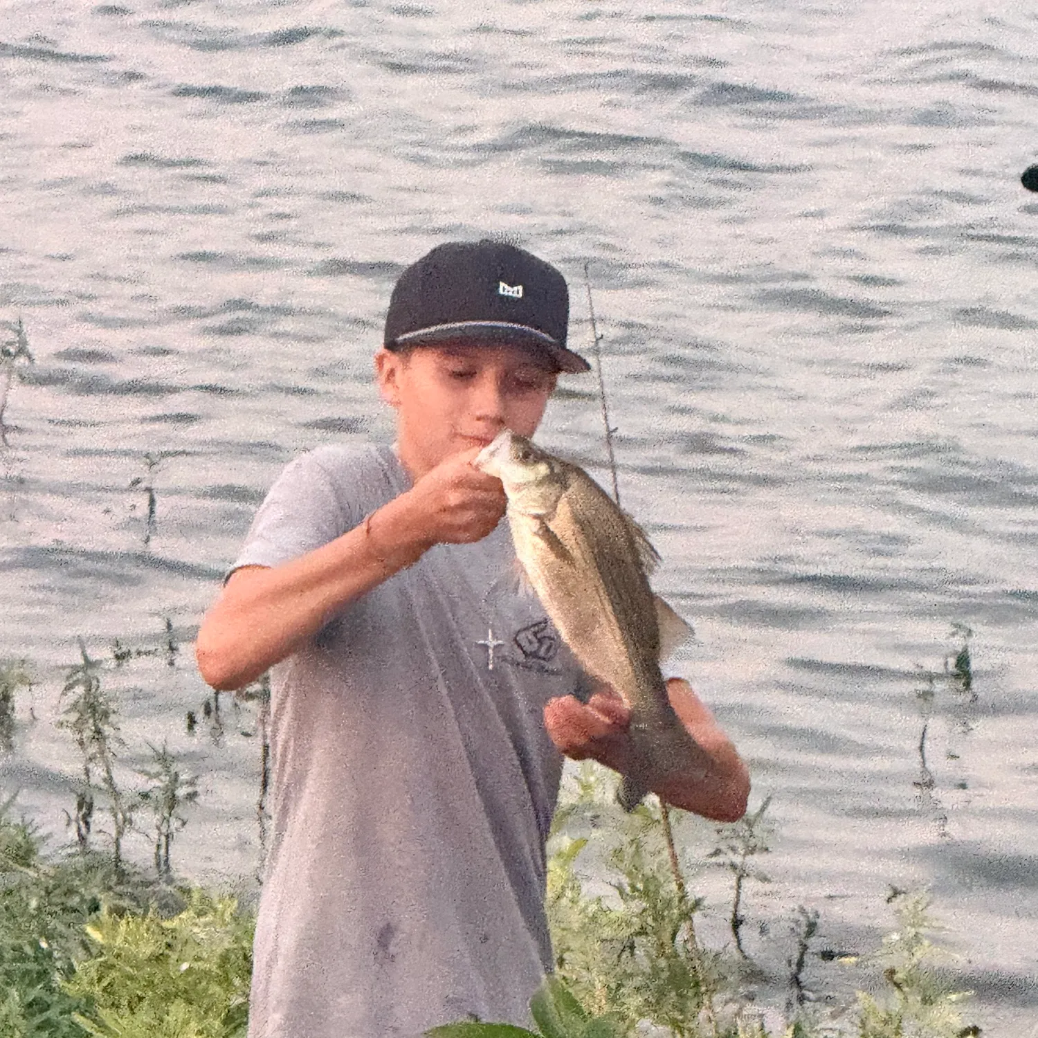 European seabass caught on Fishbrain
