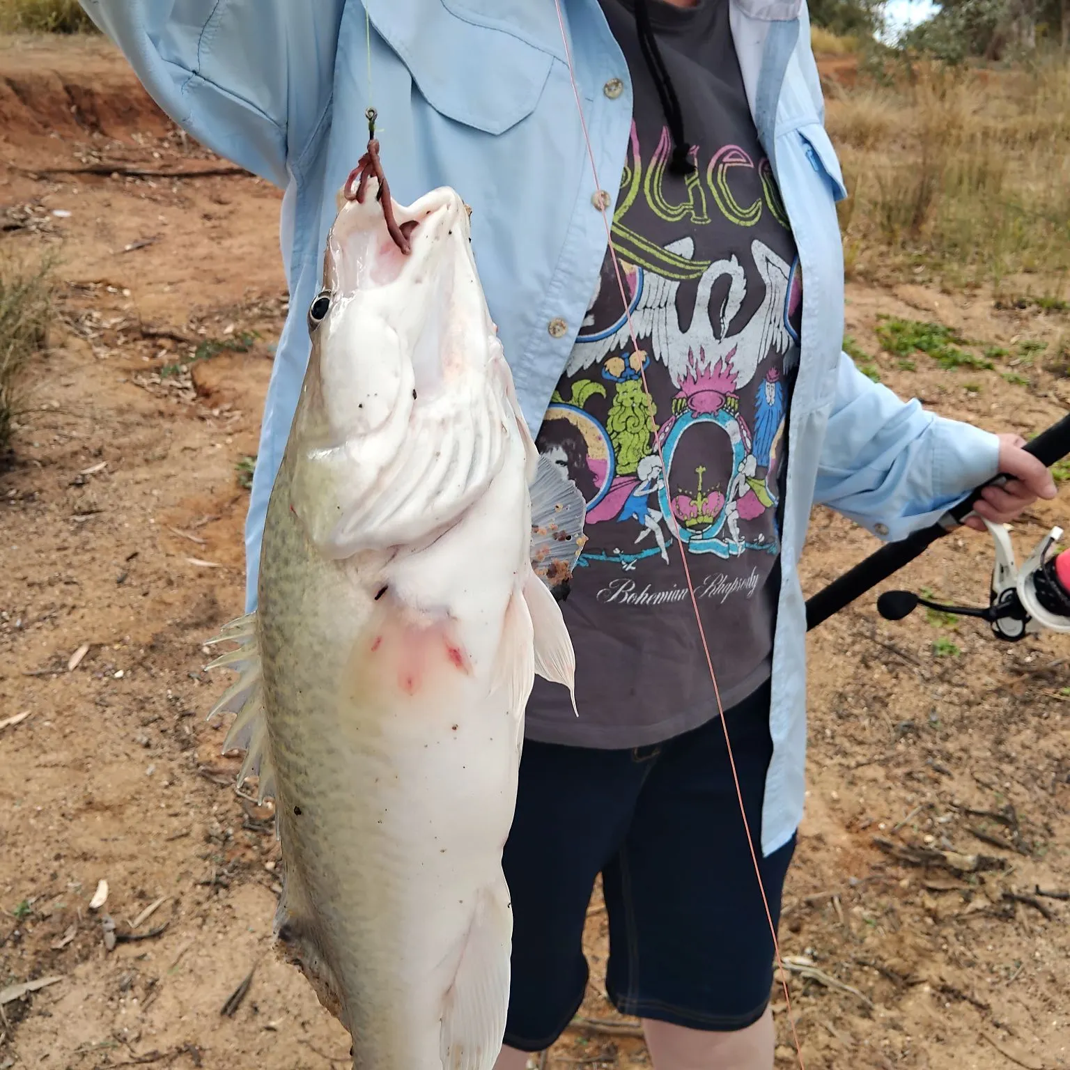 angler catch