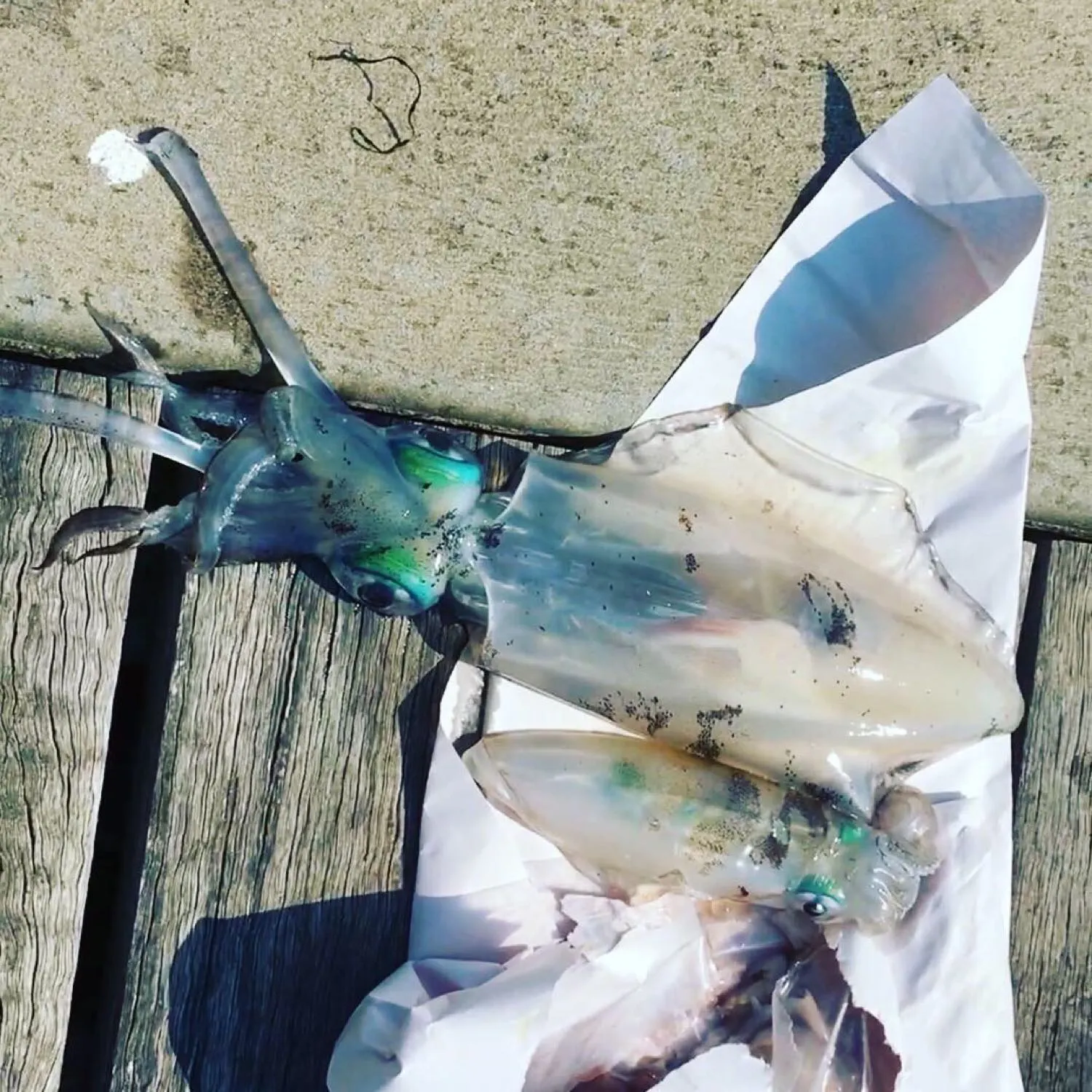 Post image from kbullock7052