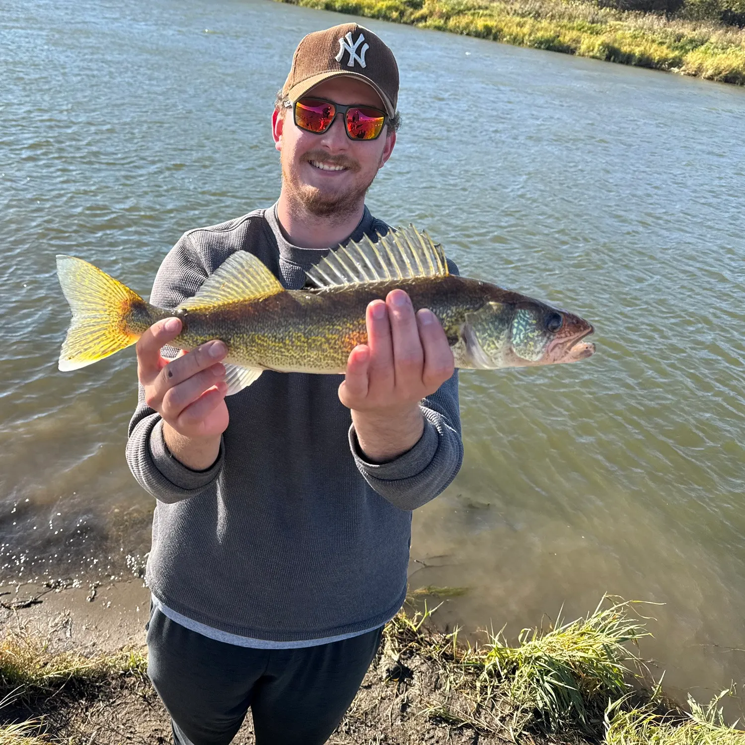 Fish caught on Fishbrain