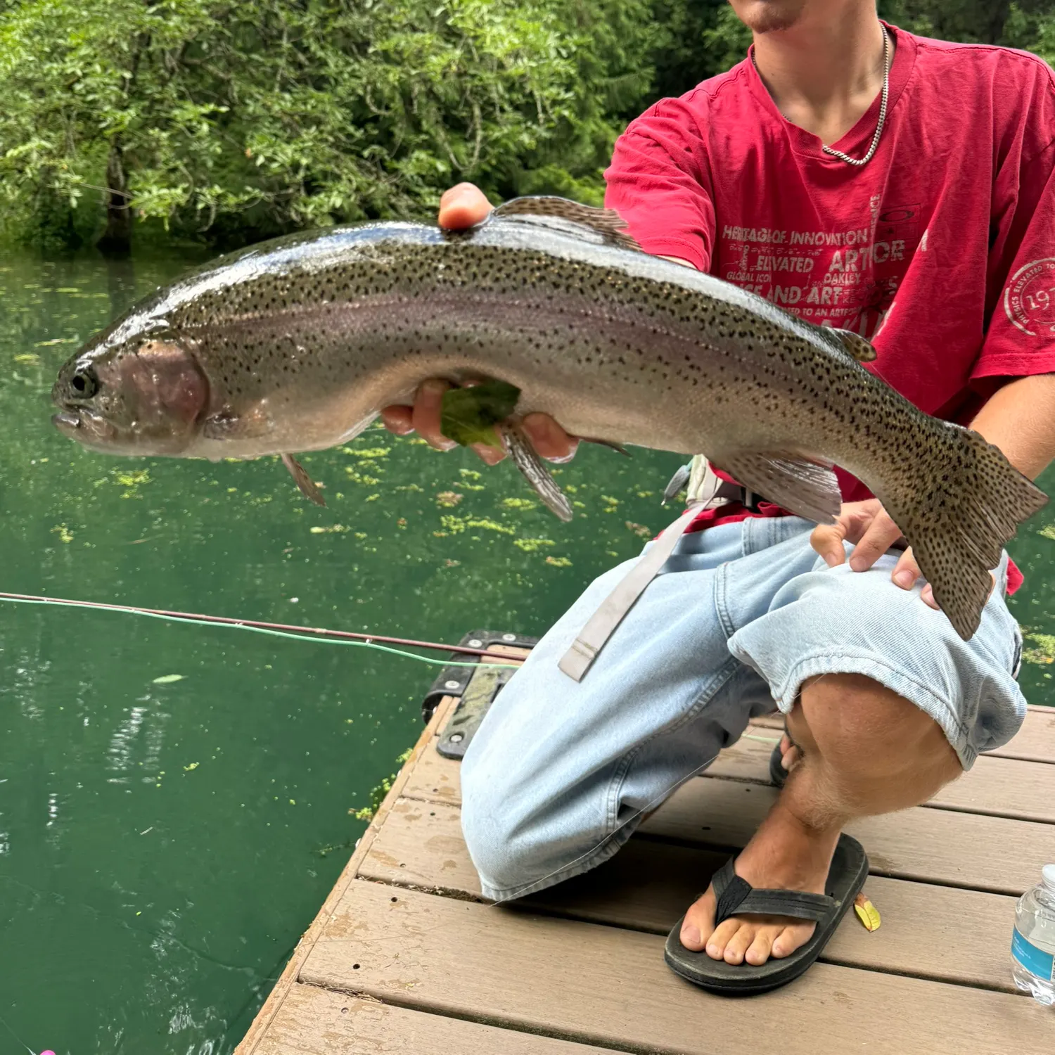 Rainbow trout caught on Fishbrain