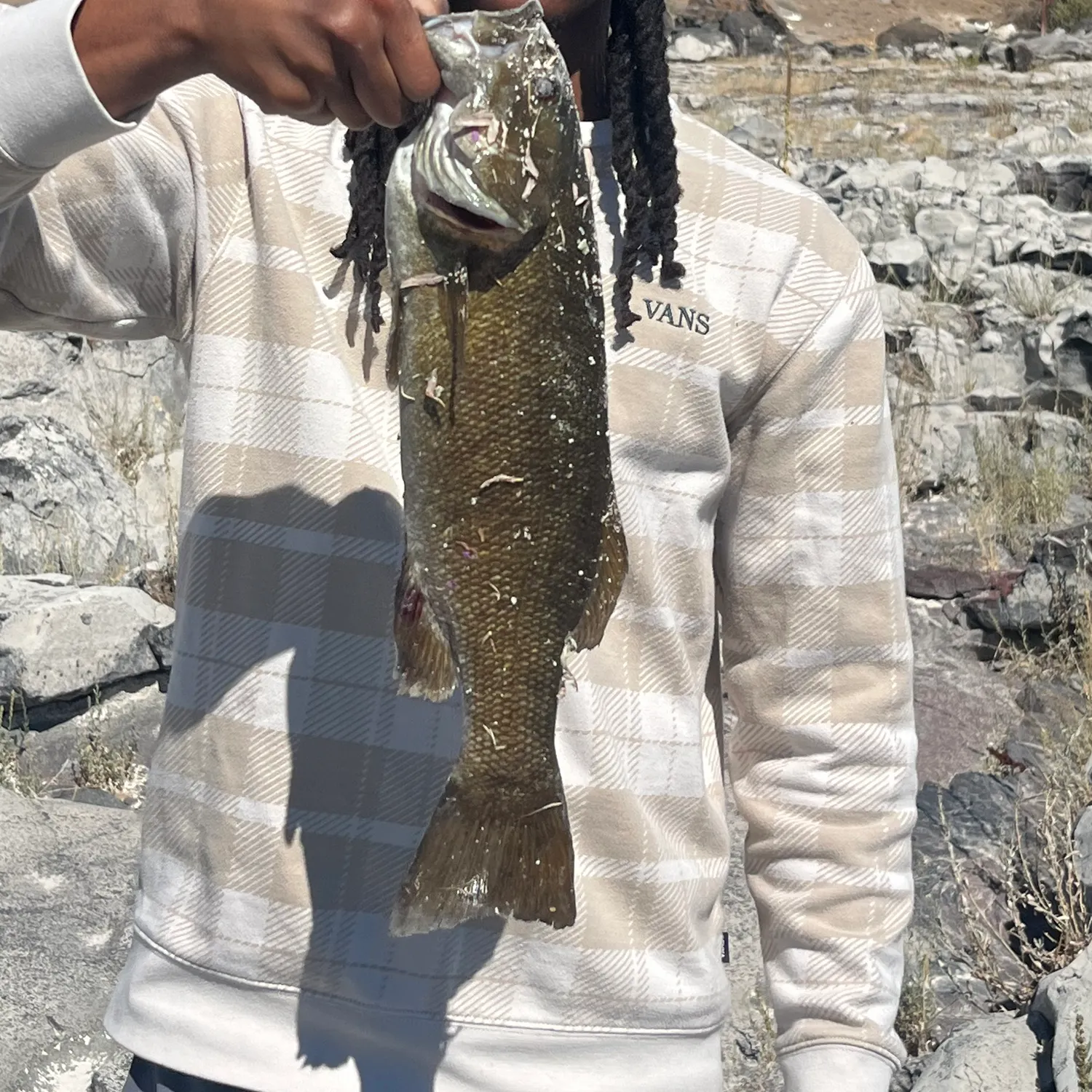 Smallmouth bass caught on Fishbrain