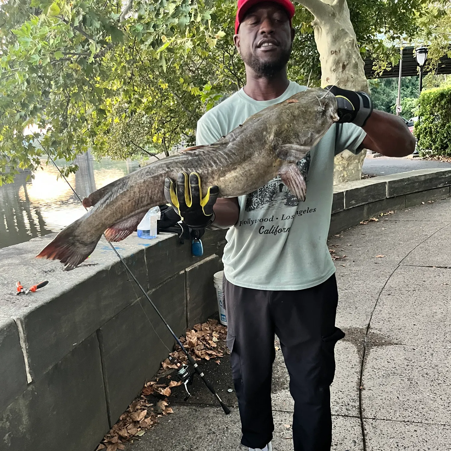 catch