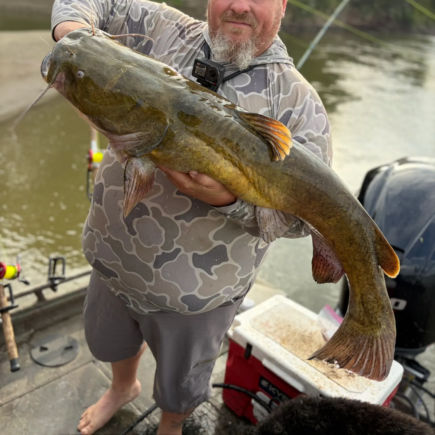 Flathead catfish caught on Fishbrain
